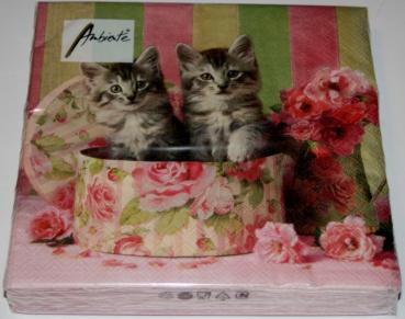 Servietten Cats in Box